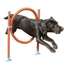 Rosewood Agility Hoop Jump for Dogs