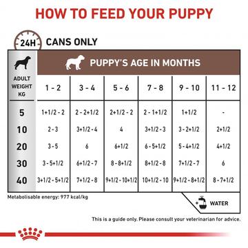 Royal Canin Gastro Intestinal Puppy Mousse Free Delivery Available