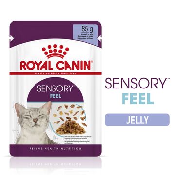 ROYAL CANIN® Sensory Feel in Jelly Adult Wet Cat Food