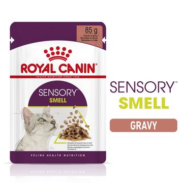 ROYAL CANIN® Sensory Smell in Gravy Adult Wet Cat Food
