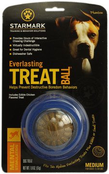 Starmark Everlasting Treat Ball Dog Toy