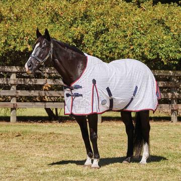 Weatherbeeta Comfitec Essential 220g Medium Weight Combo Turnout Rug Penguin Horse Rugs Turnout Rug Horse Blankets