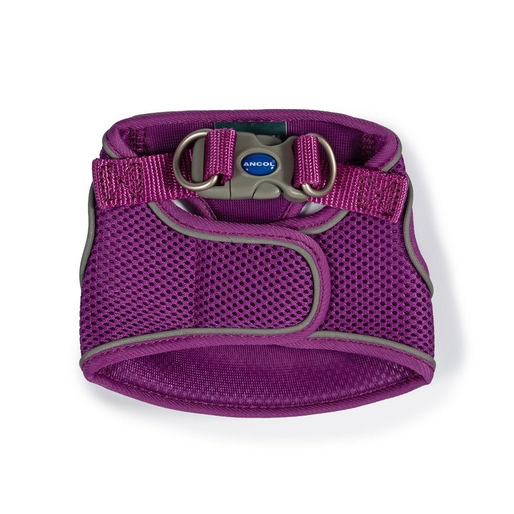 Ancol Viva Step-in Harness Purple for Dogs