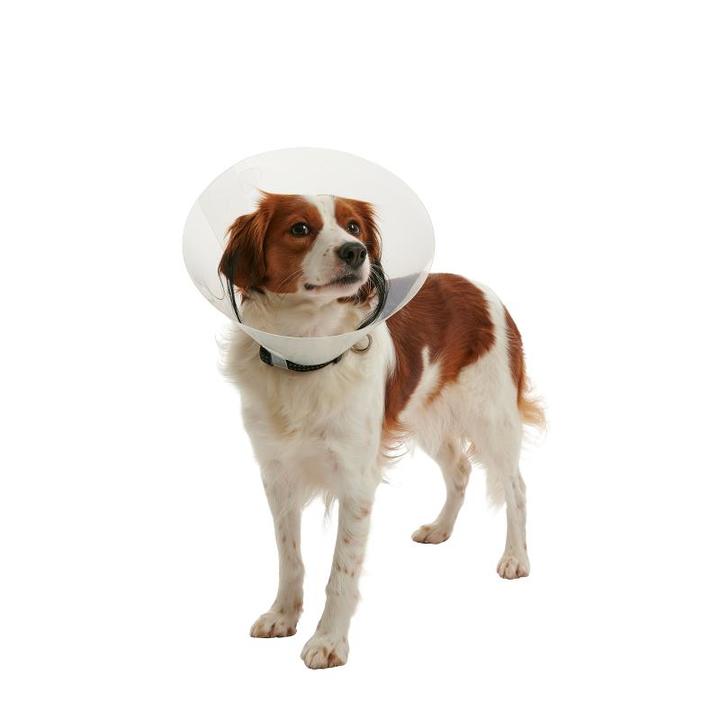Pivetal Baxter E-Collar - Clear Elizabethan Dog Collar 