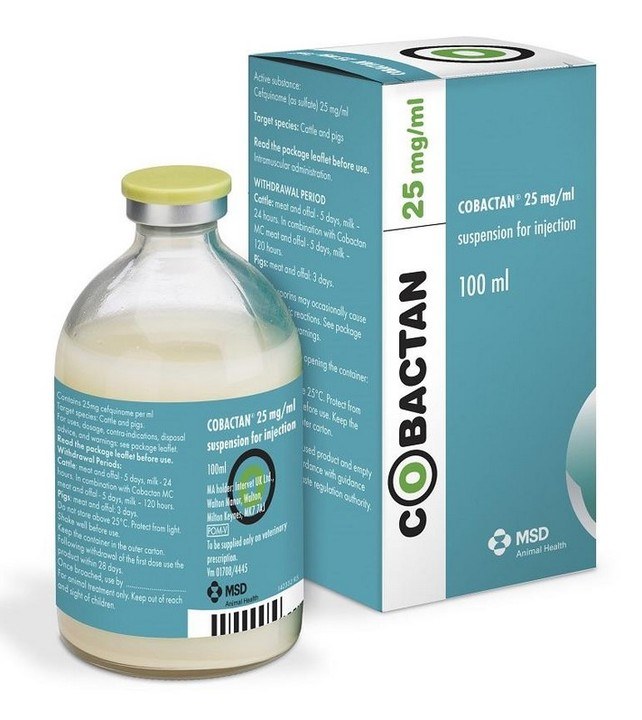 Cobactan Solution for Injection