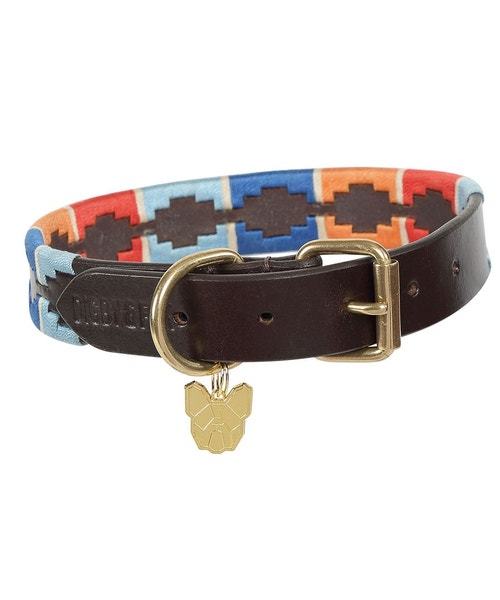 Digby & Fox Drover Polo Dog Collar Turquoise/Red/Orange/Blue