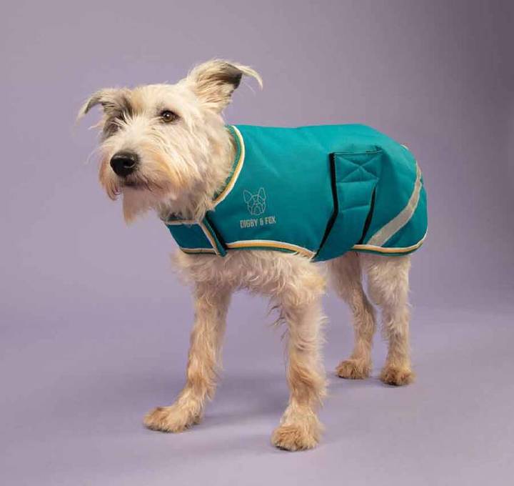 Digby & Fox Forest Waterproof Dog Coat