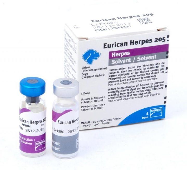Eurican Herpes 205 Vaccine