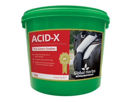 Global Herbs Acid-X for Horses