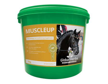 Global Herbs MuscleUP for Horses
