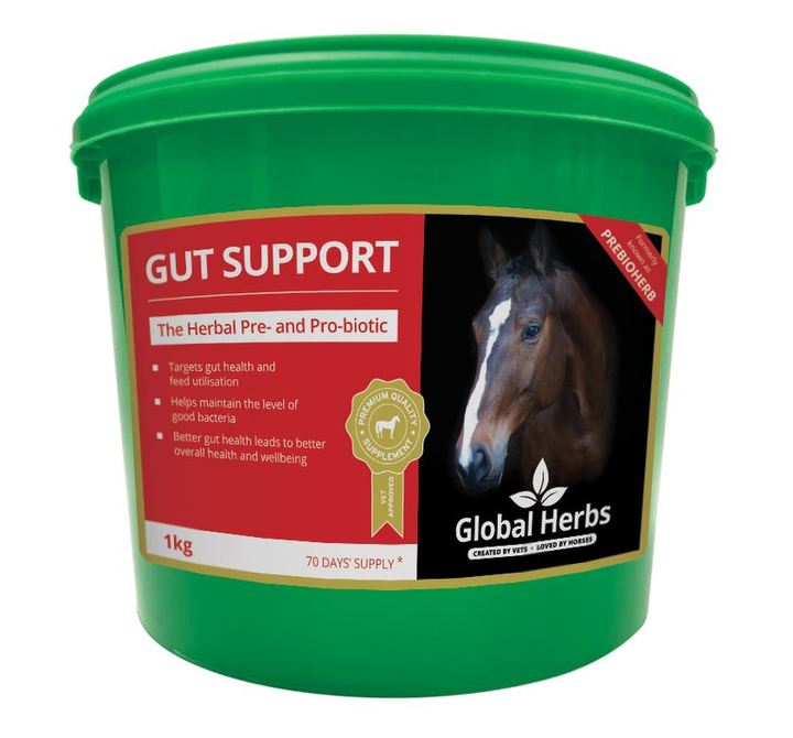 Global Herbs Gut Support for Horses