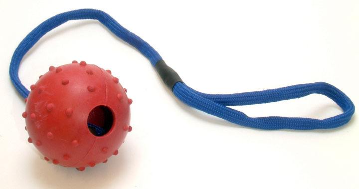 Armitage Rubber Ball on Rope Dog Toy