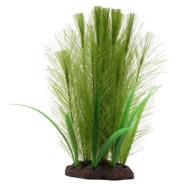 Hagen Green Feather Plant Set