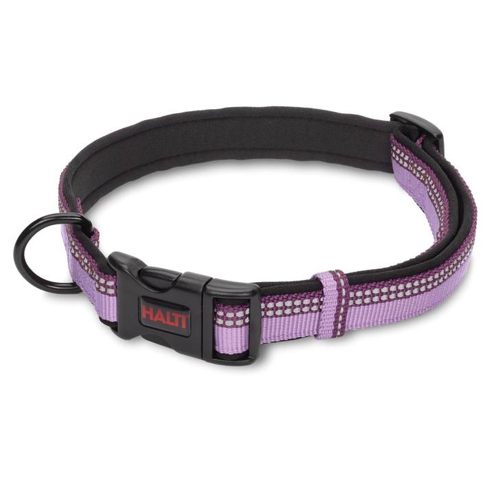 Halti Purple Collar for Dogs