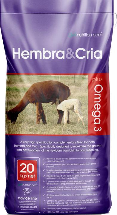 GWF Hembra & Cria for Camelids