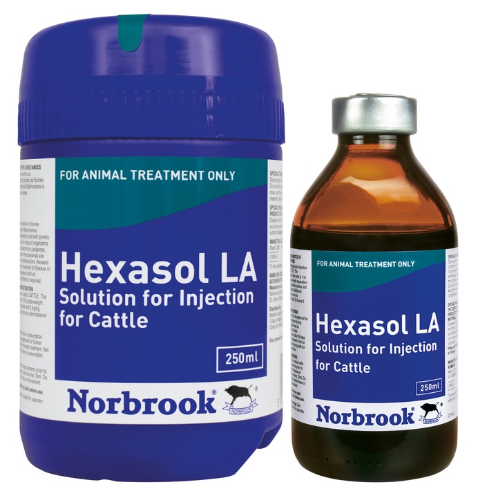 Hexasol LA Solution for Injection for Cattle
