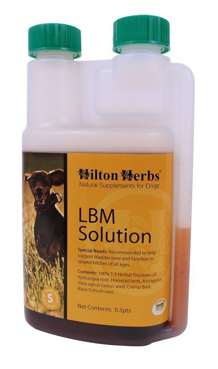 Hilton Herbs LBM Solution for Dogs
