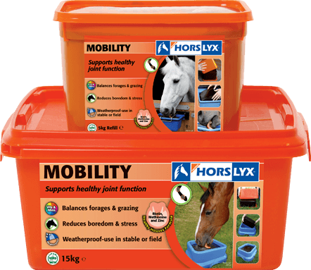 Horslyx Mobility Lick