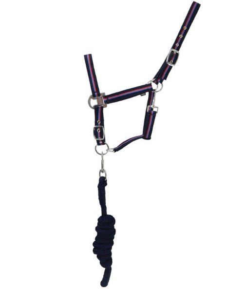 Hy Signature Navy Head Collar and Lead Rope