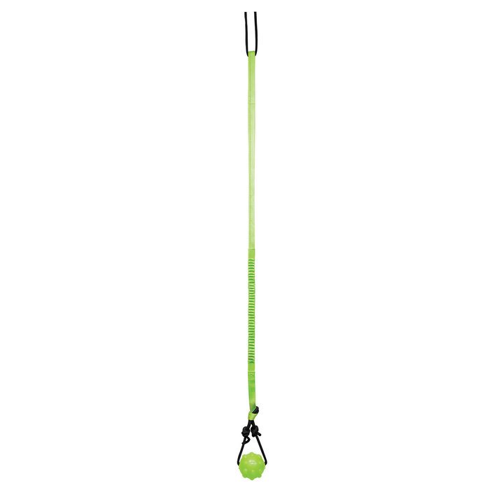 Jolly Pets Tree Tugger Green for Dogs