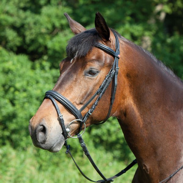 Kieffer Ergonomic Event Snaffle Bridle for Horses Black