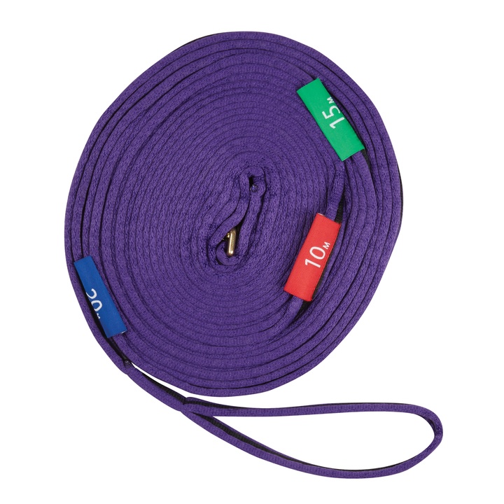 Kincade Two Tone Lunge Line with Circle Markers Purple/Black