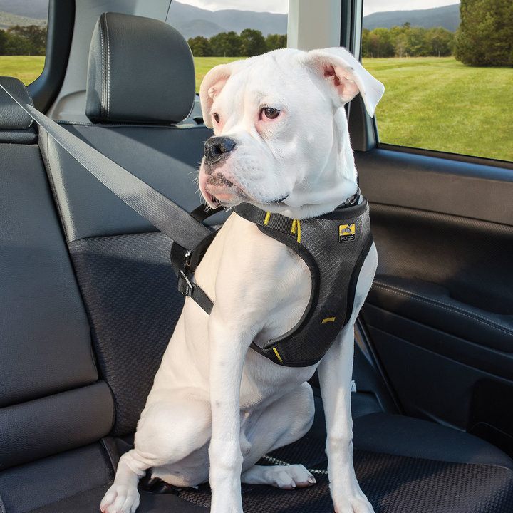 Kurgo Impact Seatbelt Dog Harness