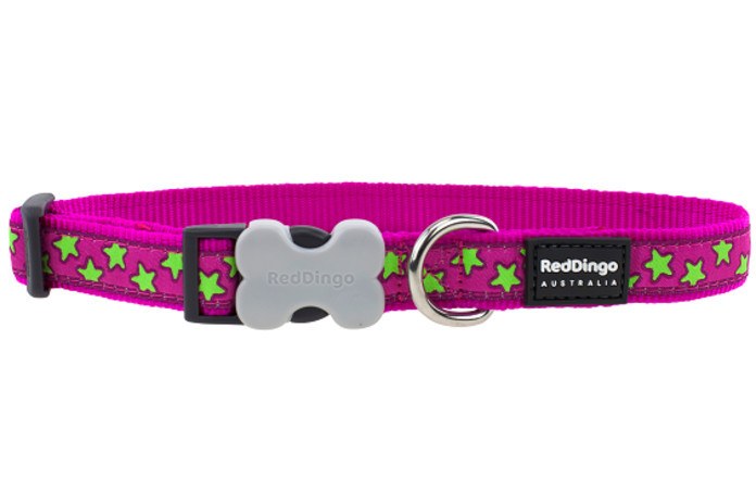 Red Dingo Hot Pink with Lime Green Stars Dog Collar 