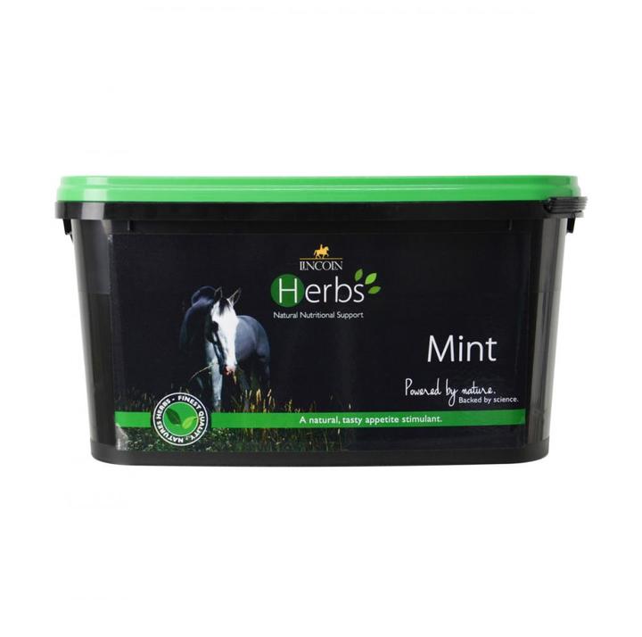 Lincoln Herbs Mint