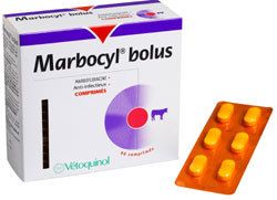 Marbocyl