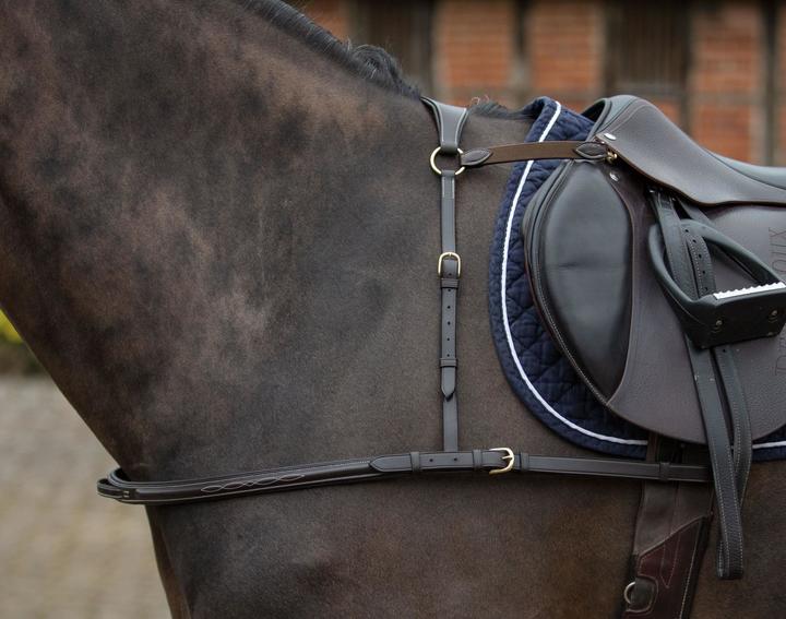 Mark Todd Breastplate 4-Point with Brass Fittings Black
