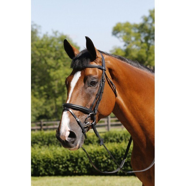Mark Todd Bridle Performance Flash with Brass