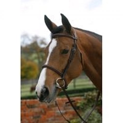 Mark Todd Plain Raised Bridle With Cavesson Noseband