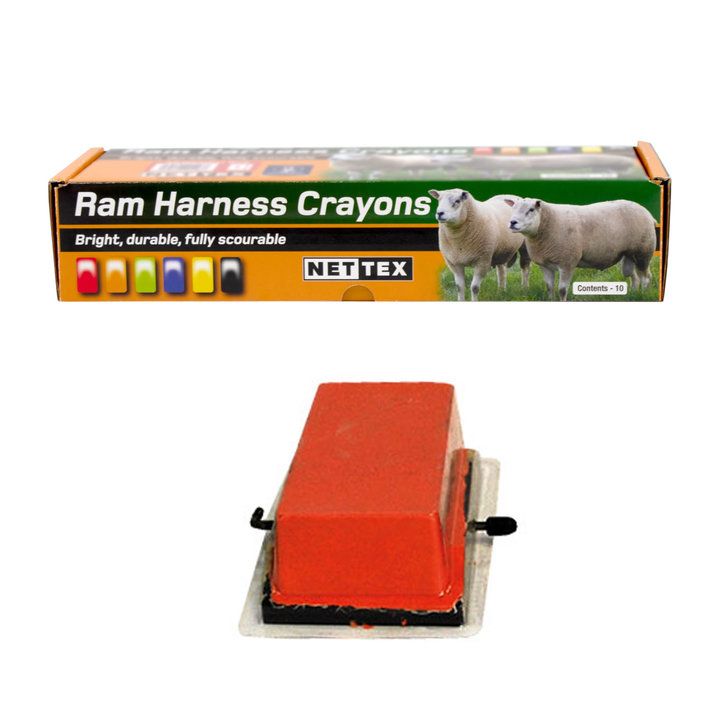 Nettex Agri Cold Crayons for Sheep Markings Orange