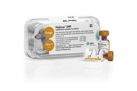 Nobivac DHP Injection for Dogs