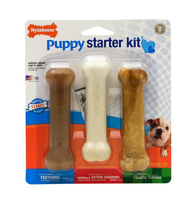 Nylabone Small Breeds Puppy Starter Kit