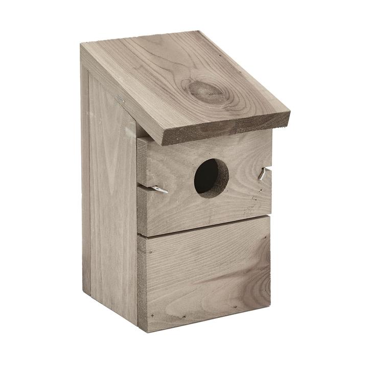 Peckish Everyday Bird Nest Box