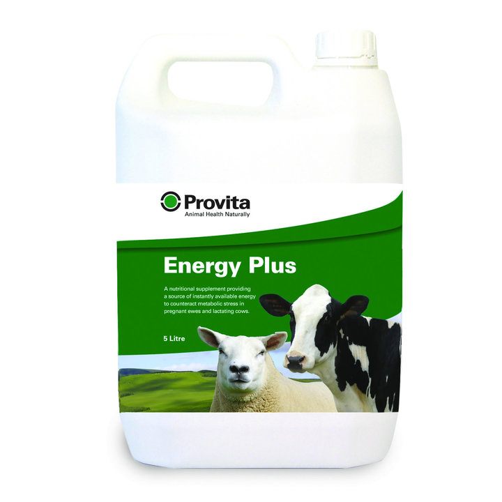 Provita Energy Plus for Sheep & Cattle