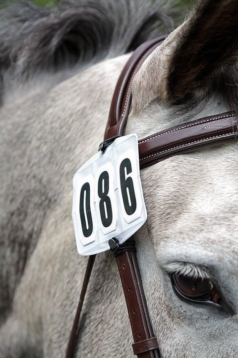 Shires Competition Number Kit White