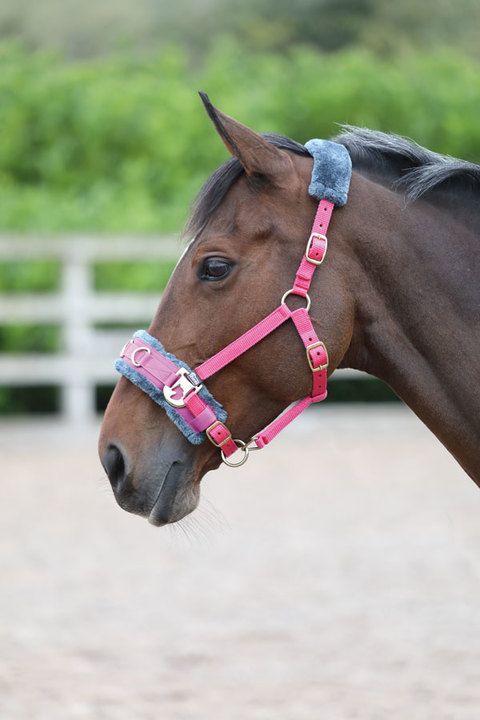 Shires Fleece Lined Lunge Cavesson Pink