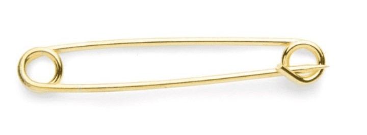 Shires Plain Gold Plated Stock Pin SP1