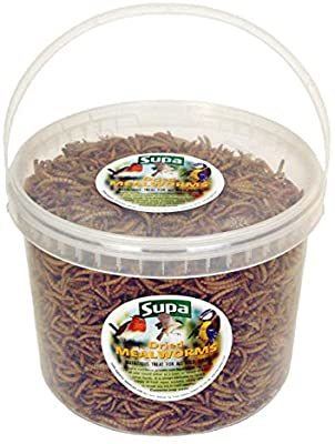 Supa Dried Mealworms