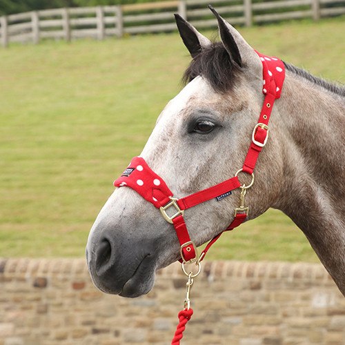 Supreme Products Dotty Fleece Head Collar & Lead Rope Rosette Red