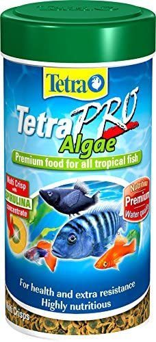 Tetrapro Algae