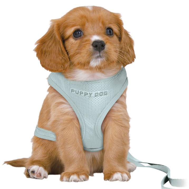 Trixie Junior Puppy Soft Harness With Leash Mint