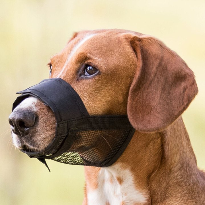 Trixie Muzzle with Net Insert for Dogs Black