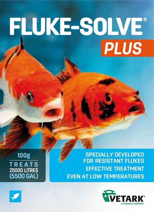 Vetark Fluke-Solve Plus for Fish