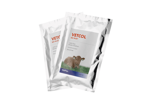 VetPlus Vetcol Six Plus Calf Colostrum