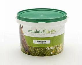 Wendals Melanix for Horses