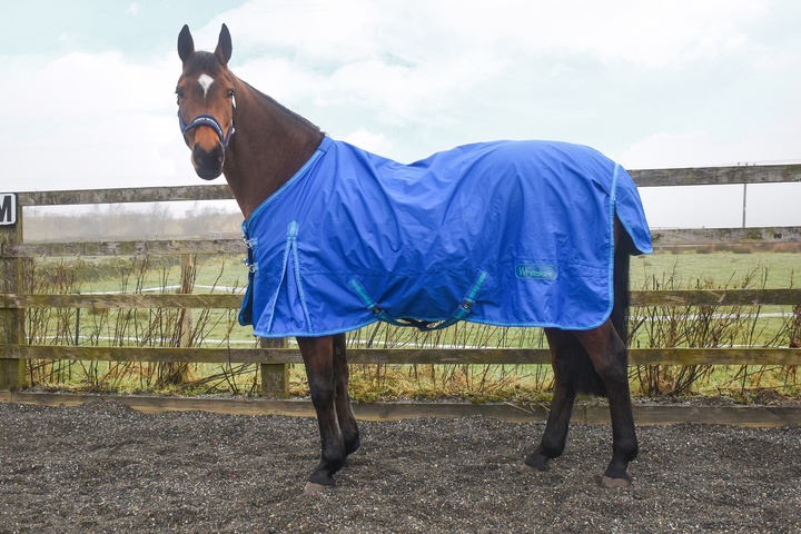 Whitaker Mid Blue Exley Turnout Rug